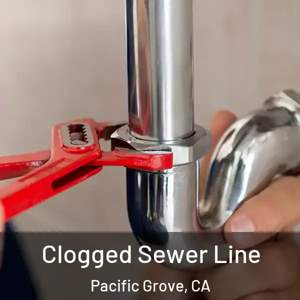 Clogged Sewer Line Pacific Grove, CA