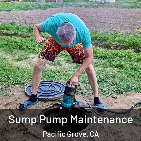  Sump Pump Maintenance Pacific Grove, CA