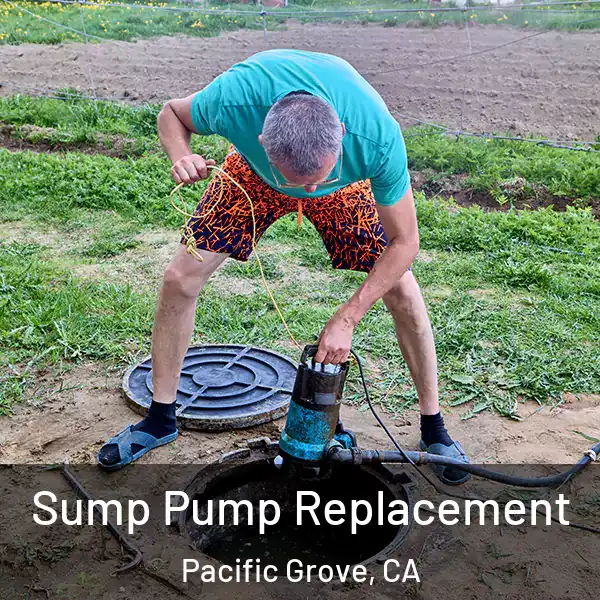  Sump Pump Replacement Pacific Grove, CA