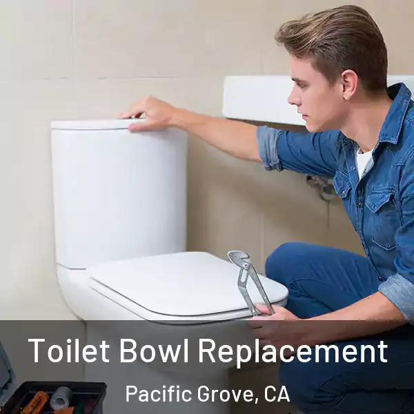  Toilet Bowl Replacement Pacific Grove, CA