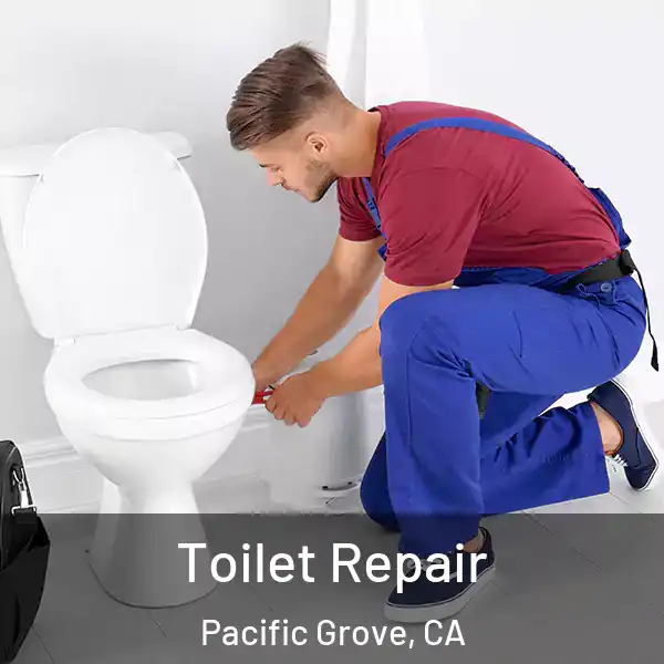  Toilet Repair Pacific Grove, CA